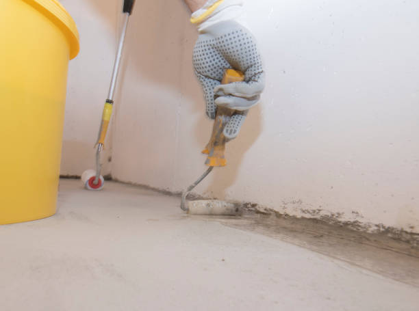 Best Pest Exclusion Services  in Addis, LA